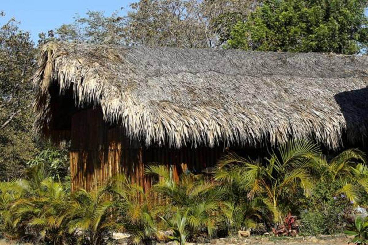 Barba Negra Lodge Paraíso Exteriér fotografie