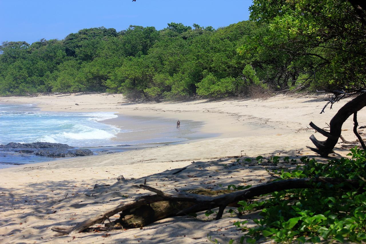 Barba Negra Lodge Paraíso Exteriér fotografie