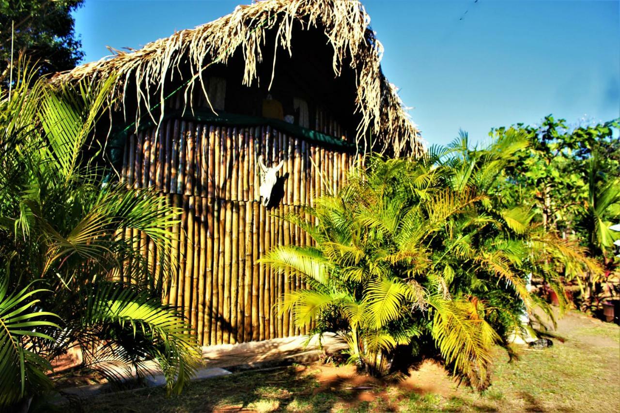 Barba Negra Lodge Paraíso Exteriér fotografie